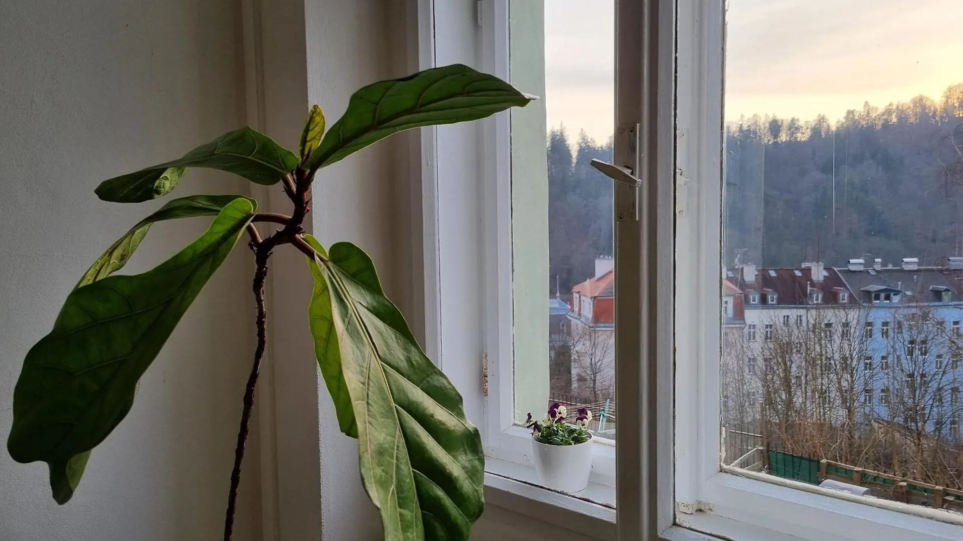 Martini Apartment Karlovy Vary